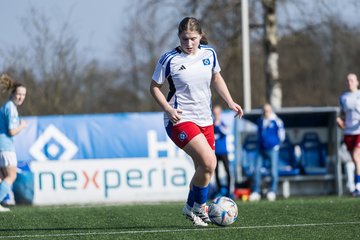 Bild 108 - F Hamburger SV 3 - Blau-Weiss 96 : Ergebnis: 5:1